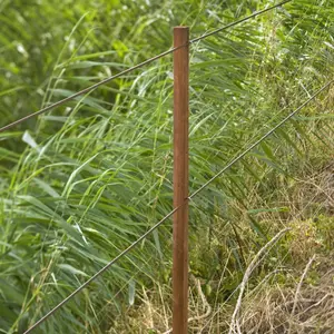 Ενδιάμεσος πικέ Gallagher Insultimber FSC® image-1