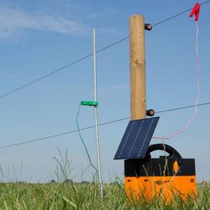 Piquet de terre avec collier de serrage Gallagher image-3