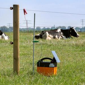 Piquet de terre avec collier de serrage Gallagher image-4