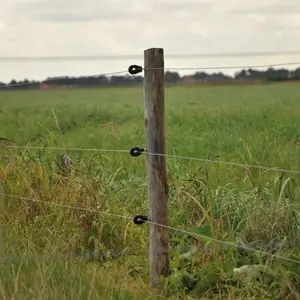 Isolatoren voor bs super houten elektrische schroefhekken Gallagher (x100) image-4