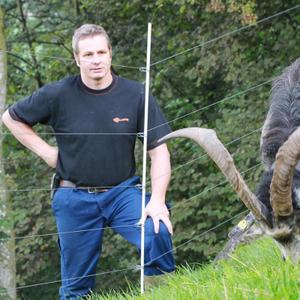 Adjustable stainless steel spring for fiberglass stake Gallagher (x25) image-2