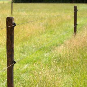 Insulators for super support electric fence Gallagher (x175) image-3