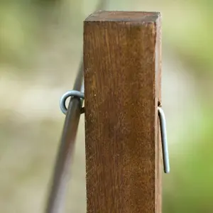 Κοντή καρφίτσα Gallagher Insultimber/Eco (x25) image-2