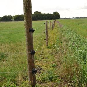 Insulators for electric fence support w Gallagher (x175) image-1