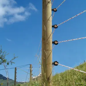 Fence cord Gallagher TurboLine image-3