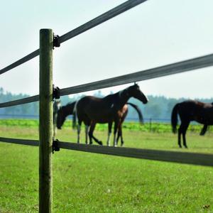 Ruban Gallagher Powerline image-2