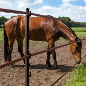 Ruban Gallagher Turboline image-3