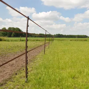 Ruban Gallagher Turboline image-4