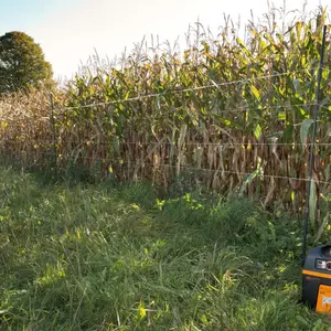 Pvc stolpe Gallagher (x10) image-2