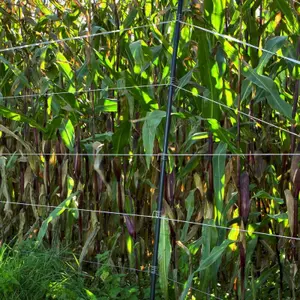 Ρυθμιζόμενος ανοξείδωτος ελατήριος για Πλαστικό Πιόνι Gallagher (x25) image-2