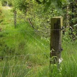 Insulators for super support electric fence Gallagher (x25) image-2