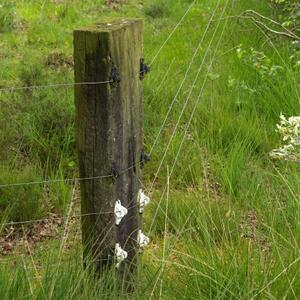 Insulators for super support electric fence Gallagher (x25) image-3