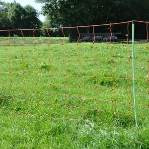 Lammfilet Gallagher 90/2-14/V-50m image-1