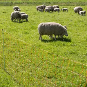 Lammfilet Gallagher 90/2-14/V-50m image-4