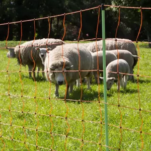 Lammfilet Gallagher 90/2-14/V-50m image-5