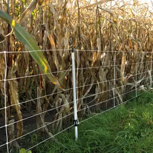 Filet sanglier Gallagher image-2