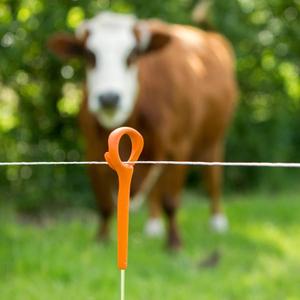 Pfahl mit verstärktem Ring Gallagher (x10) image-4