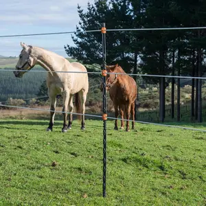 Piquet de cerca isolado Gallagher (x4) image-4
