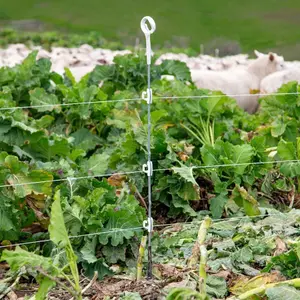 Multifil-Pfahl mit verstärktem Ring Gallagher (x10) image-4