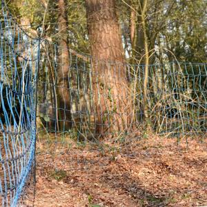 Netz für Zäune Gallagher image-2