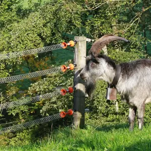 Federzaun Zubehör Gallagher image-2