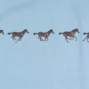 Γυναικείο T-shirt Galop Wear image-2