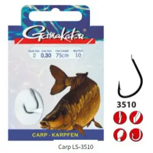 Pack of 10 hooks Gamakatsu LS-3510 4 image-0