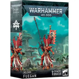 Φιγούρα Games Workshop Warhammer 40k - Aeldari Fuegan image-0