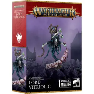 Φιγούρα Games Workshop Warhammer AoS - Nighthaunt Seigneur Vitriolique image-0