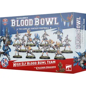 Társasjátékok Games Workshop Blood Bowl - Team Haut Elfes : The Caledor Dragons