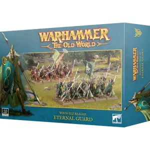 Φιγούρα Games Workshop Warhammer ToW - Royaumes Elfes Sylvains : Garde Eternelle image-0