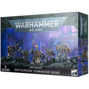 Figurine Games Workshop Warhammer 40k - Grey Knights Paladins / Terminators Squad image-0