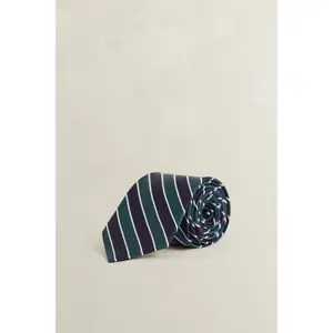 Striped Tie Gant image-1