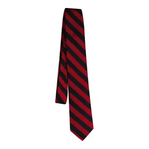 Striped Tie Gant image-0