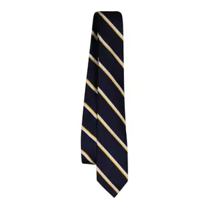 Striped Tie Gant image-0