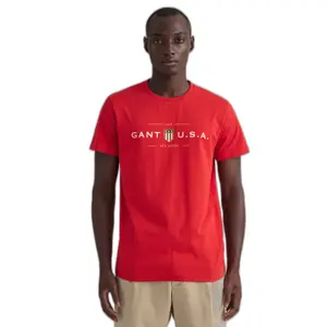 Camiseta Gant Banner Shield image-2