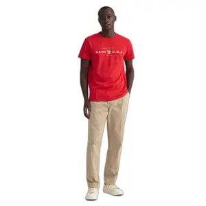 Camiseta Gant Banner Shield image-1