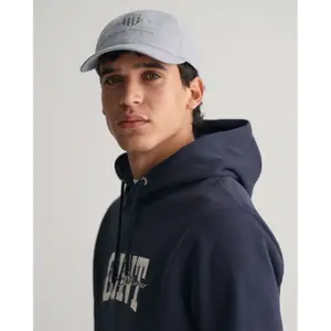 Crewneck sweatshirt Gant Arch Script image-4