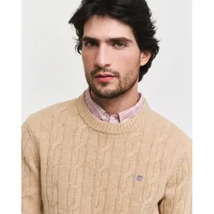 Pull col rond Gant Lambswool image-5