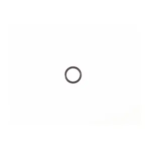 Δαχτυλίδι Garmin Spacer Ring Type 1 image-0