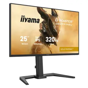 PC-Bildschirm Iiyama G-Master Gold Phoenix GB2591HSU-B1 image-1
