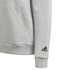 Huvtröjor adidas Big Badge of Sport Boxy image-2