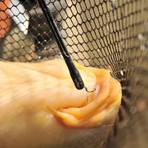 Drainage tool Guru QM1 Disgorger image-1