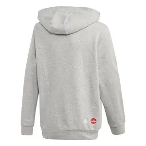 Sudadera para niños adidas Cleofus Hooded image-5
