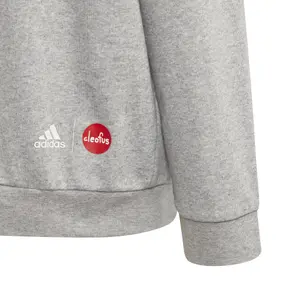 Sudadera para niños adidas Cleofus Hooded image-2