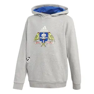 Sudadera para niños adidas Cleofus Hooded image-1