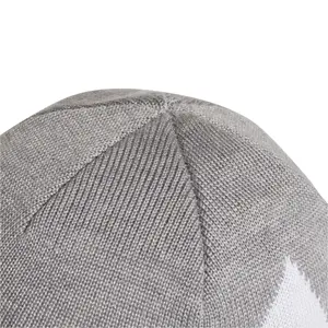 Cap adidas Aeroeady Big Logo image-4