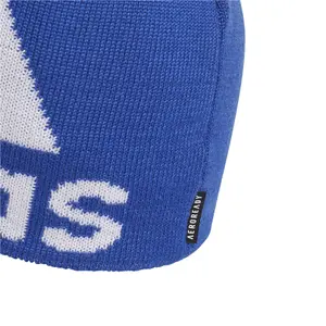 Cap adidas Aeroready Big Logo image-2