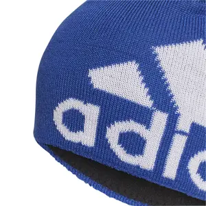 Cap adidas Aeroready Big Logo image-3