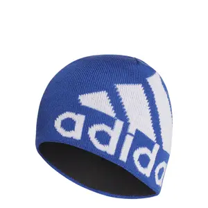 Cap adidas Aeroready Big Logo image-1